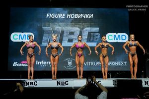 FIGURE НОВИЧКИ